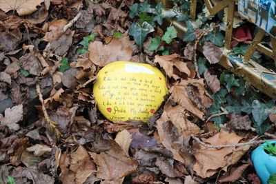 A painted stone from Paula