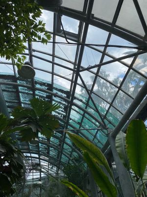 Conservatory (5).jpg