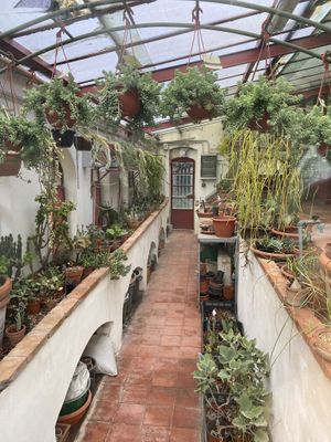 A Conservatory in Sicily