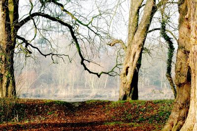 The Thames is on the other side of the bank