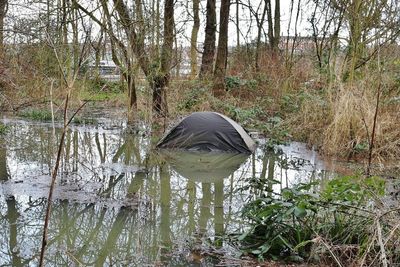 Camping in these woods in November is a bad idea