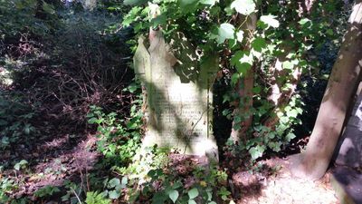 Very overgrown