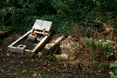 Nunhead Cemetery