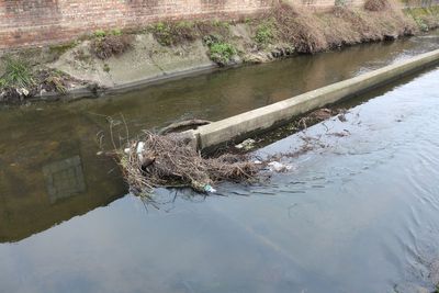 I have no idea why this runs down the middle of the Wandle