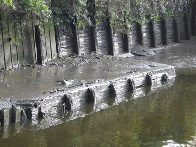 Mouth of the Wandle, a fine example of Thames mud, lots of it