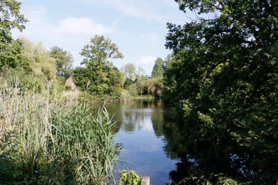 The ponds are well looked after