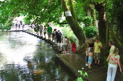 Stepping stones in summer is a very popular place