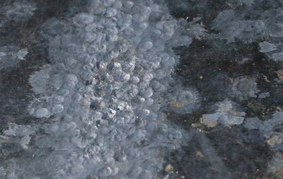 This was an odd bit of plate, you can clearly see where the pellets have struck