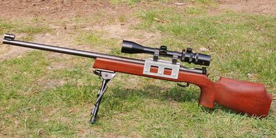 .22lr rifle single shot