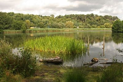The Bolder Mere