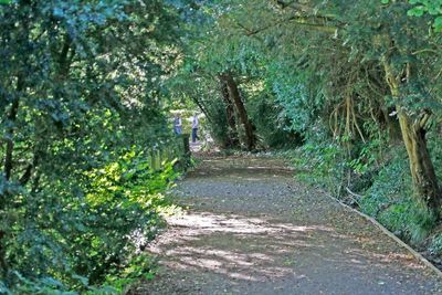 The side path runs up the left side to the Silent Pool