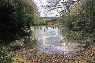 Sherbourne is usually clearer of weed than the Silent Pool above