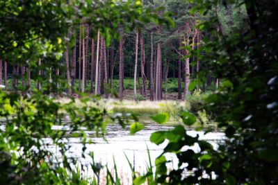 One part of the Bolder Mere