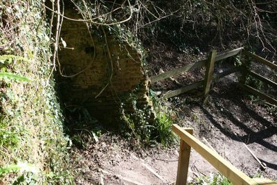 Old foundations of something
