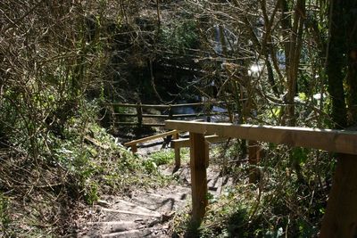 Steps at the top of the Silent Pool, now blocked off