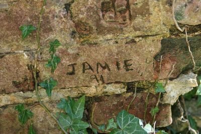 Jamie 94