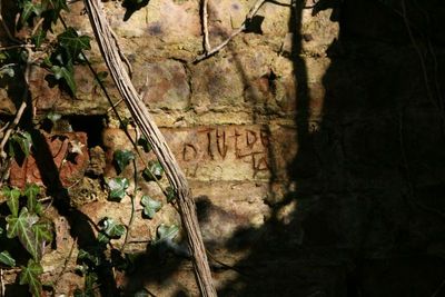 If you do graffiti, do it properly