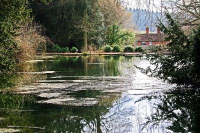 The pond from the footpath between the 2 ponds