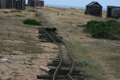 Dungeness