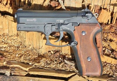 Gamo PT80 Co2