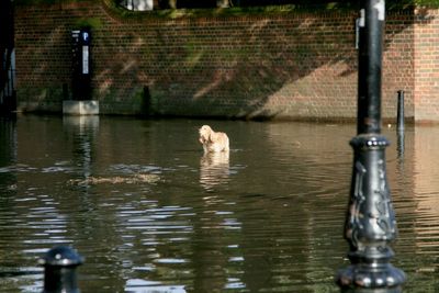 He looks a bit lost