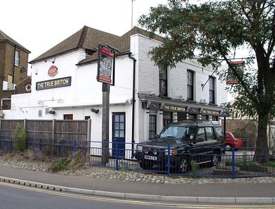 The True Briton