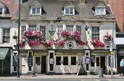 The George