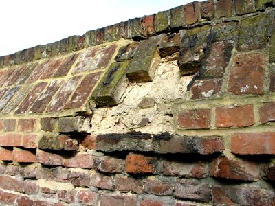 More decay from old age