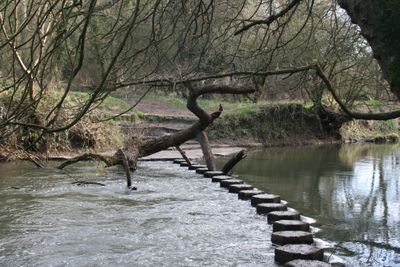 I am not acrobatic enough to cross today