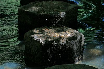 Lots of stone out of the river, very low.