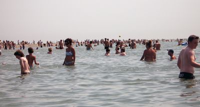 Lots of people in the sea today