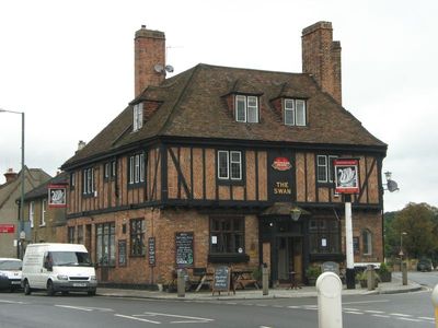 The Swan