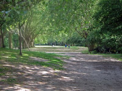 Never get good grass in this walk. To many big trees put it in permanent shade