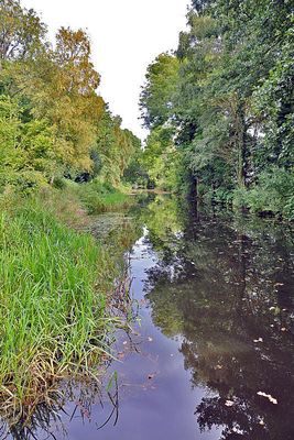 Basingstoke Canal near Deepcut