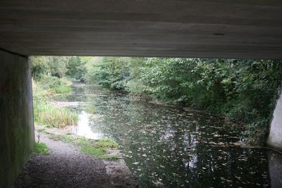 Road bridge over the canal