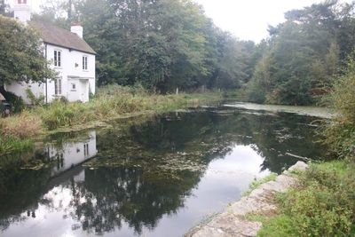 The house by the lock