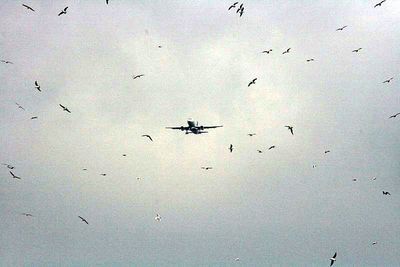Hope he dont get a bird strike