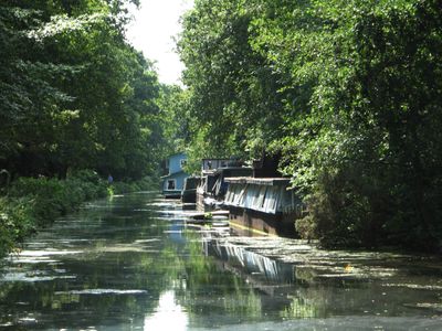 Canals are very beautiful in the summer