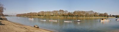 Bishop park from the Embankment