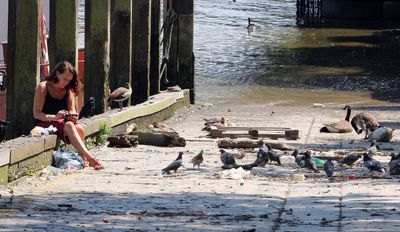 Drawdock Putney Bridge