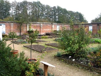 Another view of the vegetable garden