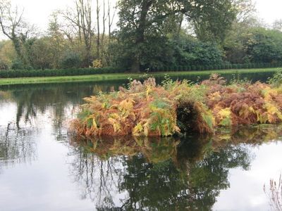 A beautiful lake with a long island down the middle
