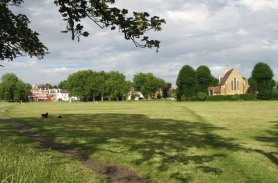 Putney common 