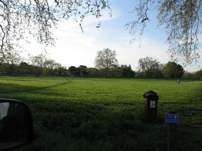 Putney common