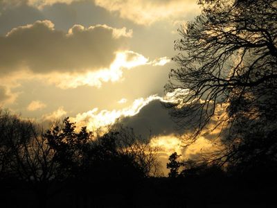 Sun set over the common