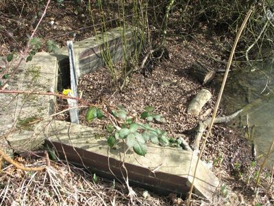 Kings Mere drain blocked