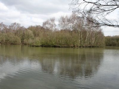 Kings Mere 