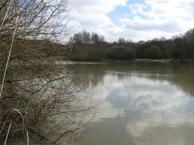 Kings Mere 