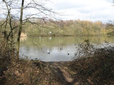 Kings Mere lake