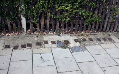 g13/50/558950/3/175390477.de017005.JPEG